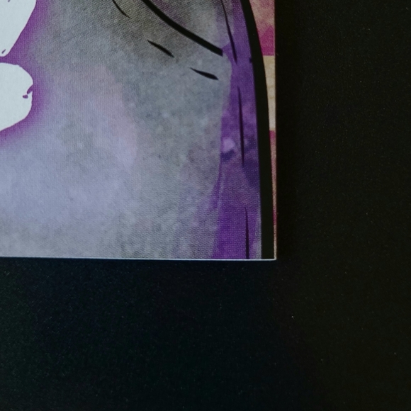 20 Fists #1 - Picture 6 of 7